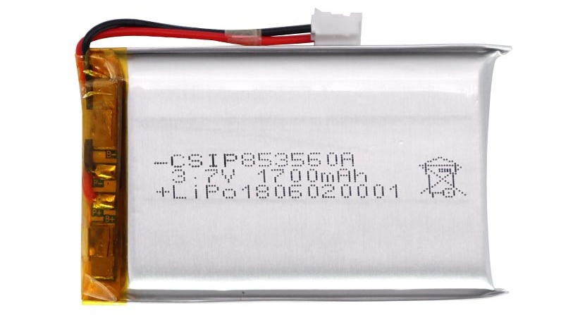 China famous Polymer battery lithium battery  batterymanufacturer 