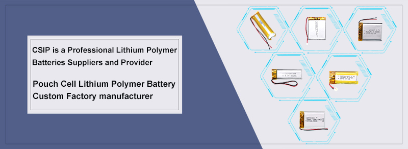 Standard lithium polymer battery